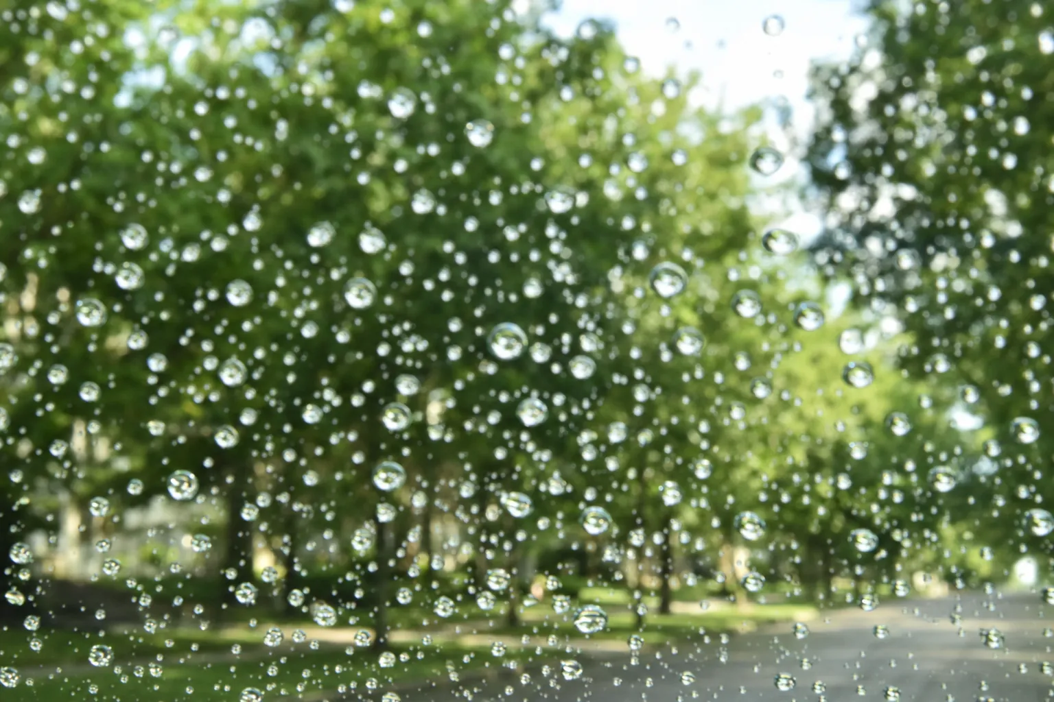 Water beading on a windshield treated with rain-repellent coating